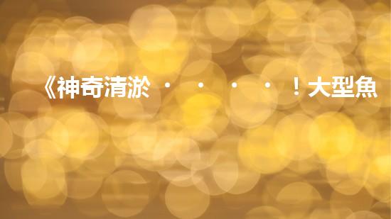 《神奇清淤！大型魚(yú)塘如何恢復(fù)清澈透明？》